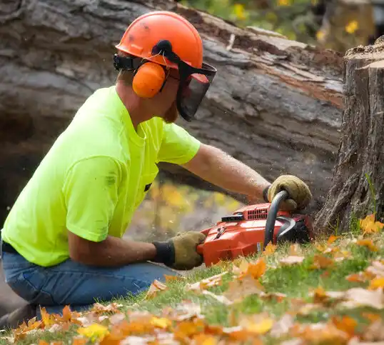 tree services Somersworth